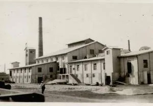 51d536373a303d07882912f331308a56 300 208 m3