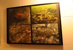 02370114c3fb22511be7ad05a8abff7e 300 208 m3