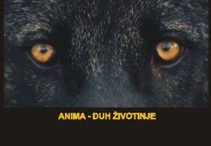 02a66f956212a9b569f934034597932e 300 208 m3