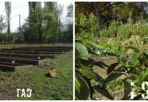 4f3308da96af5e12554f7f69237d3b3b 300 208 m3