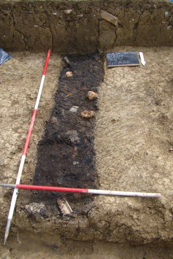 Grob br.2 s prilozima in situ foto D. Marti