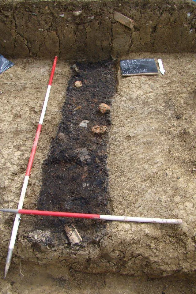 Grob br.2 s prilozima in situ foto D. Marti