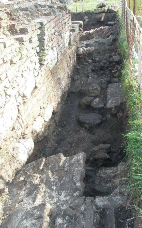 OLYMPUS DIGITAL CAMERA