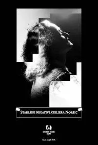 Stakleni negativi nori