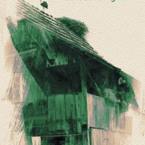 Monografija Vizure čardaka